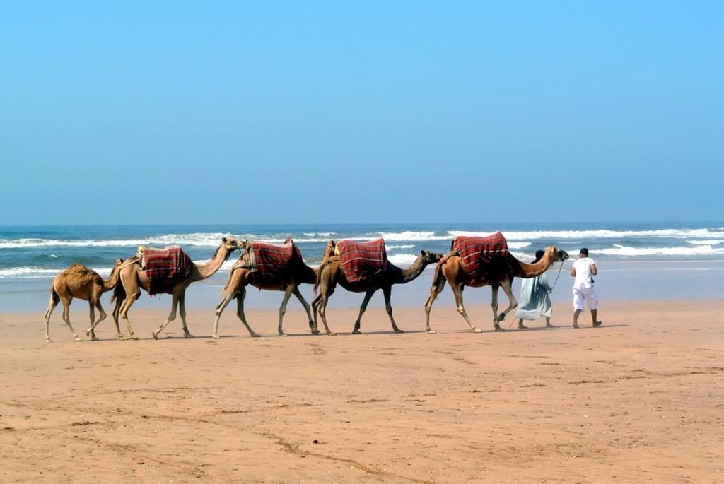 Riad Dar El Malaika El Jadida Ngoại thất bức ảnh